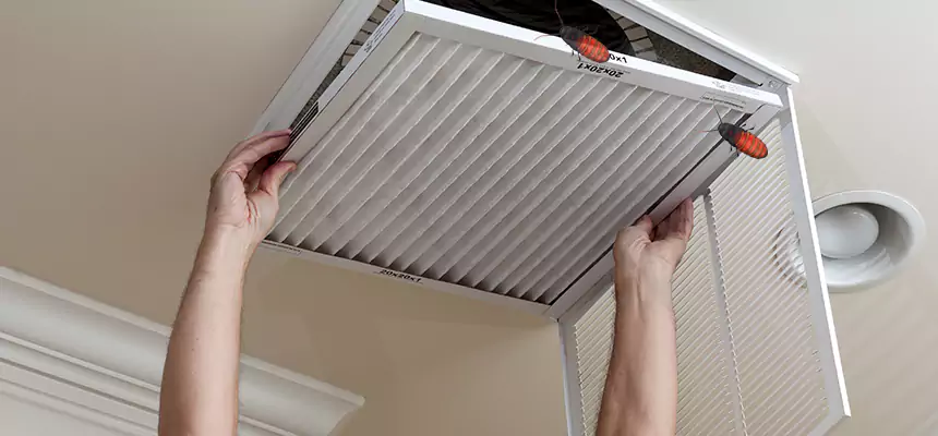 Preventive Cockroach-Proofing for Ducts in Fort Wayne