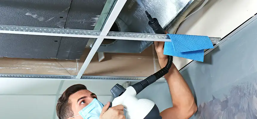 Our Air Duct Rodent Removal Services in Fort Wayne, IN