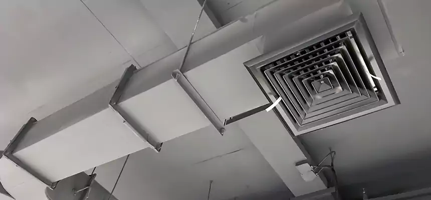 Restorative Allergy Relief Vent Cleaning – Coil, Blower & Housing Detail in Fort Wayne