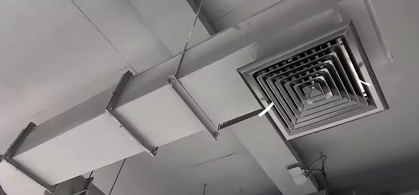 Our Pest Removal From Ducts Services in Fort Wayne, IN