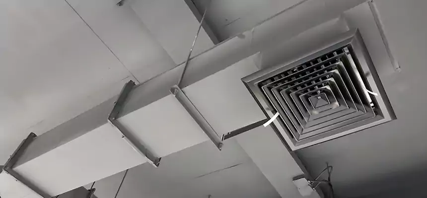 Our Rodent Droppings In Vents Services in Fort Wayne, IN