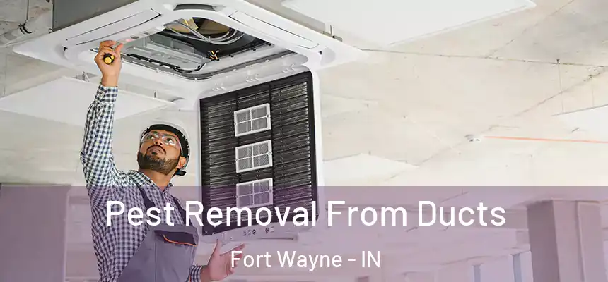 Pest Removal From Ducts Fort Wayne - IN
