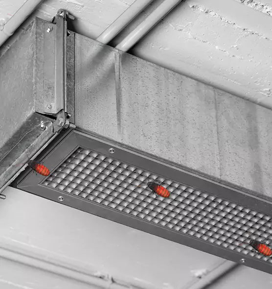 Affordable Insect Removal from Air Ducts in Fort Wayne, IN