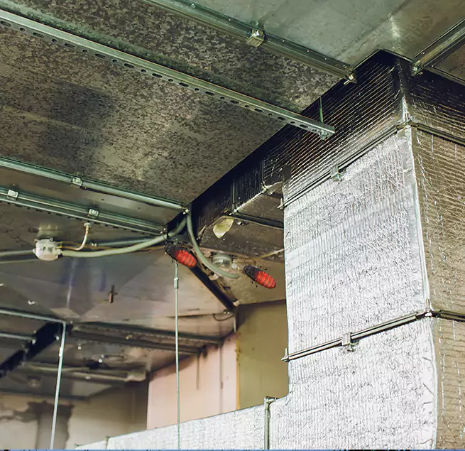 Why Homeowners & Businesses Trust Us in Fort Wayne, IN?