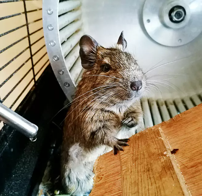 Why Homeowners & Businesses Trust Us Fort Wayne, IN